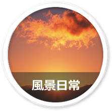 サンプルロール1